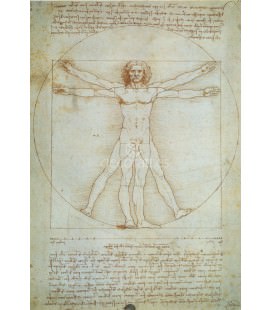 Dibujo de Proporciones. 1490