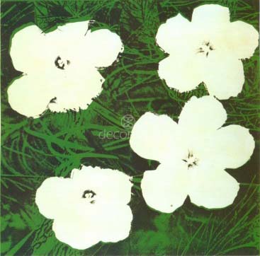 Flores, 1964