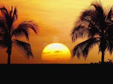 Hawaii Beach Sunset