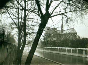 Notre-Dame, Eugene Atget, Paris 1911
