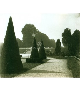 Parc de Saint Cloid, Eugene Atget, Paris 1921