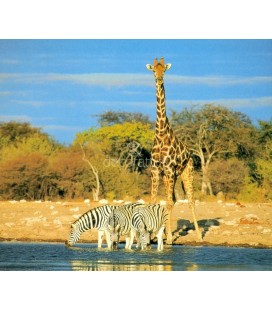 Parque Nacional de Serengeti, Tanzania