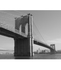 Puente visto desde Manhattan