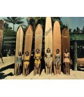 Waikiki surf boards