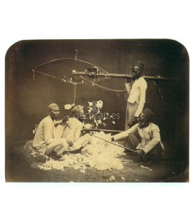 Group of Pinjaras or Cotton-Carders, Johnson & Henderson, India, 1857