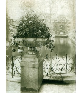 Jardin du Lu/embourg, Eugene Atget, Paris 1898