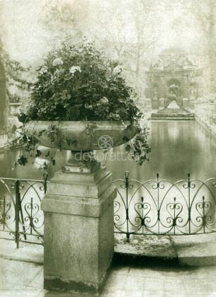 Jardin du Lu/embourg, Eugene Atget, Paris 1898